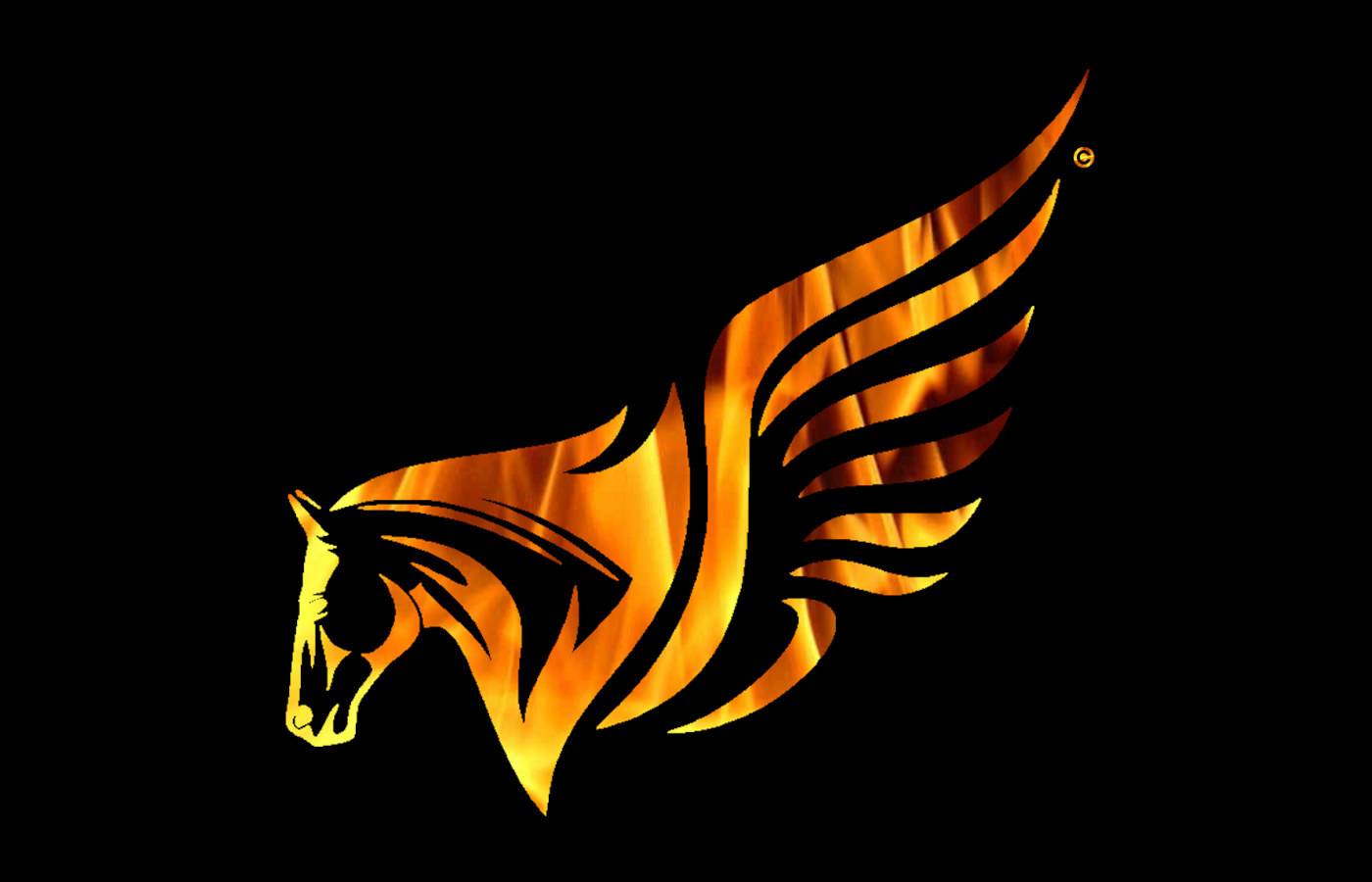 Logo Magic Flight - Pegaso