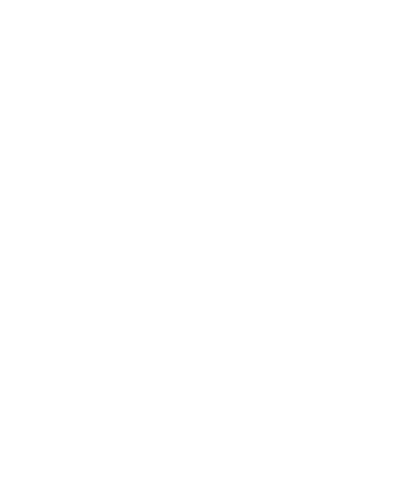 Magic Flight